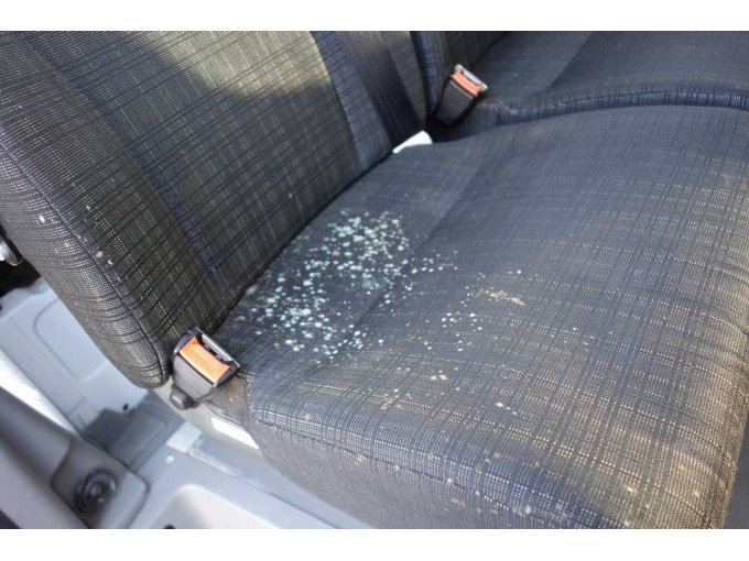 2er Sitzbank Schimmelflecken