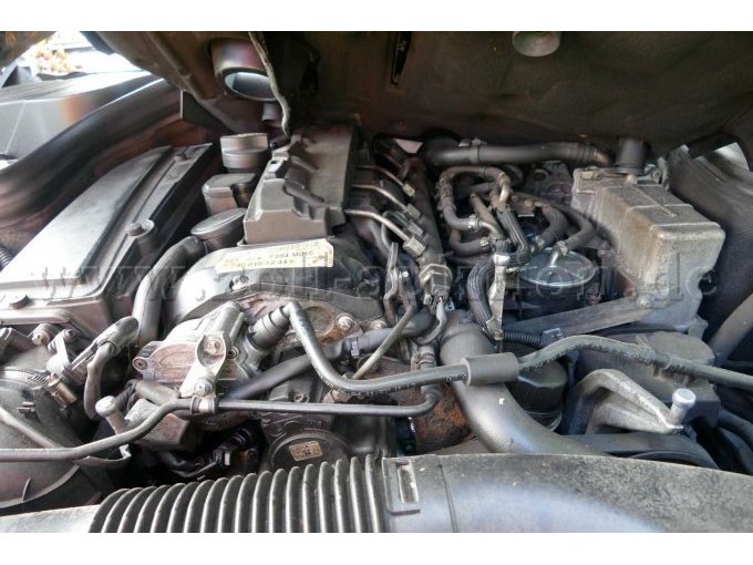 Motor
