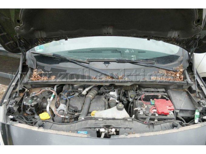 Motor