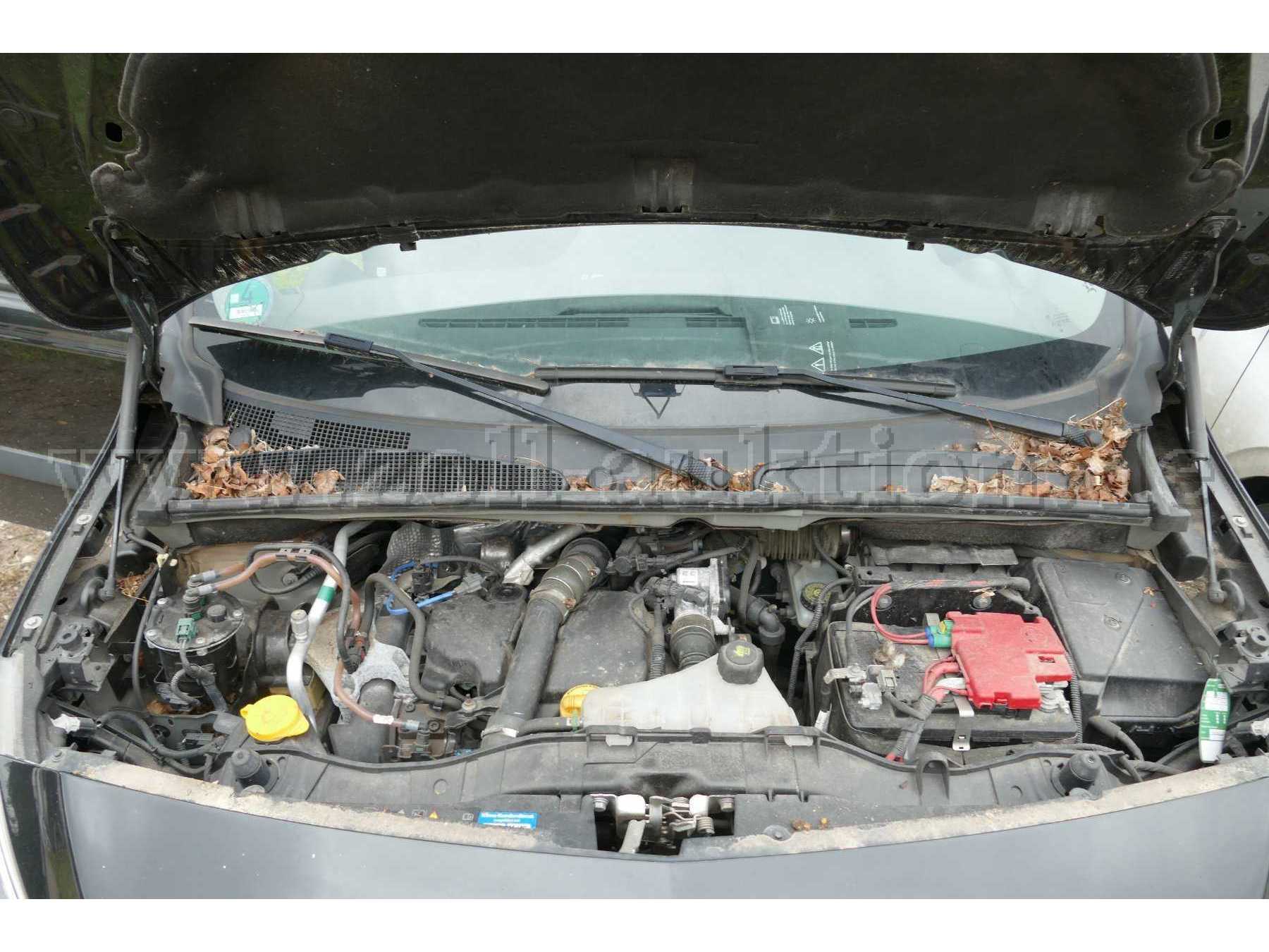 Motor