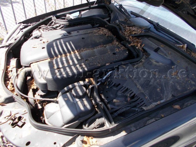 Motorraum