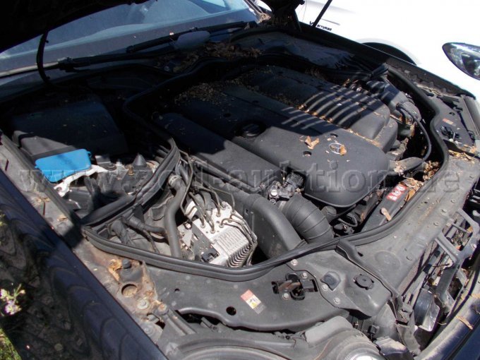 Motorraum