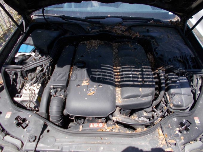 Motorraum