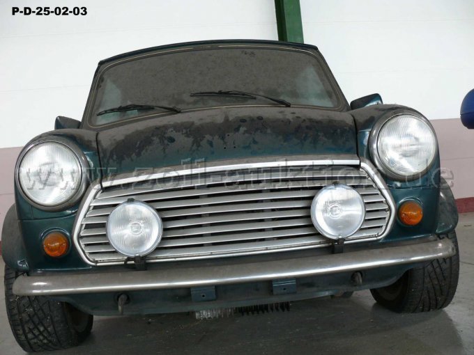 Detailansicht Kühlergrill