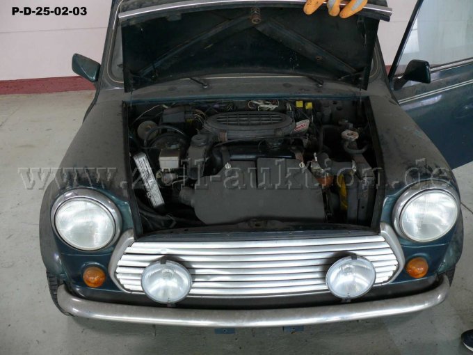 Frontansicht Motorhaube geöffnet