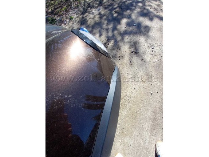 eingedellte Motorhaube