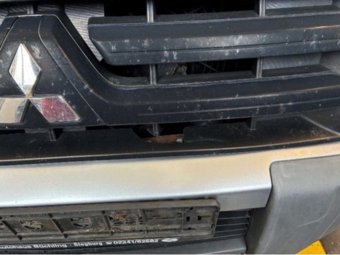 Ansicht Motorgrill vorne