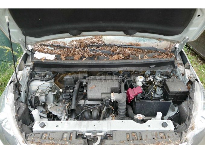 Motor