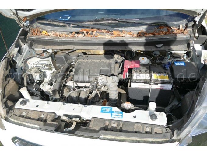 Motor