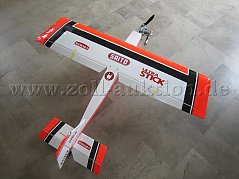 Modellflieger Totalansicht