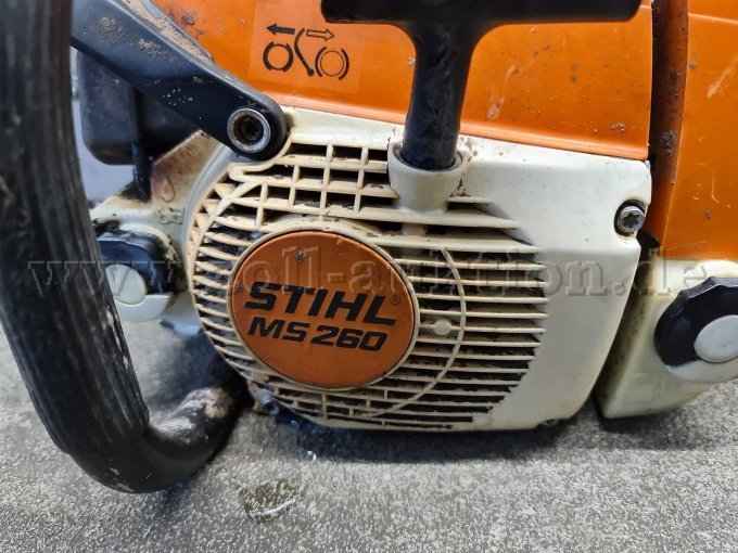 Ansicht Seilzugstarter mit Typ-Bezeichnung