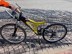 Bike Mifa