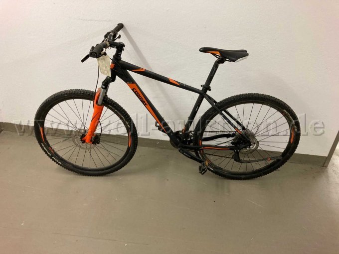 Übersichtsaufnahme linke Seite