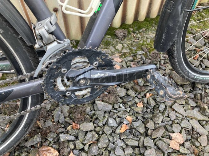 Tretkurbel, Pedal, Umwerfer