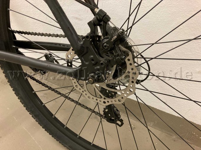 Ansicht Scheibenbremse hinten