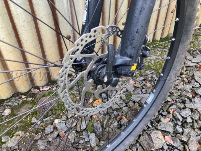 Scheibenbremse vorne