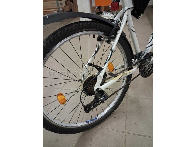 Wheeler 55 Passera Hinterradnabe und Schaltung