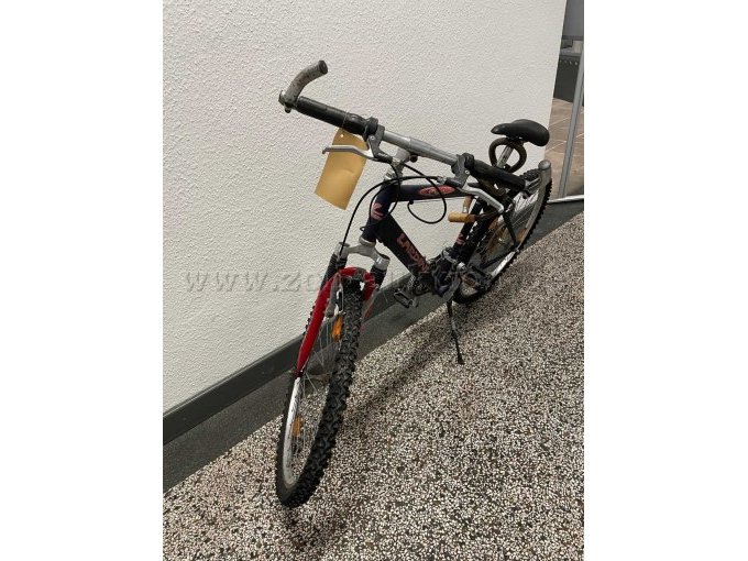 Fahrrad vorn