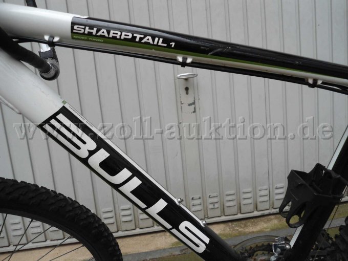 Modell Sharptail 1
