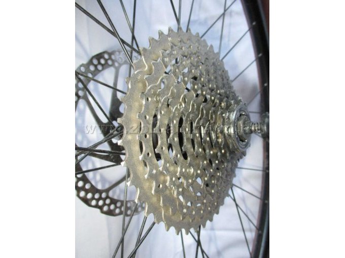 Teilansicht Hinterrad mit Zahnräder