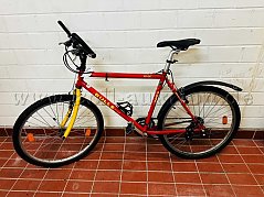Fahrrad Bulls rot/gelb