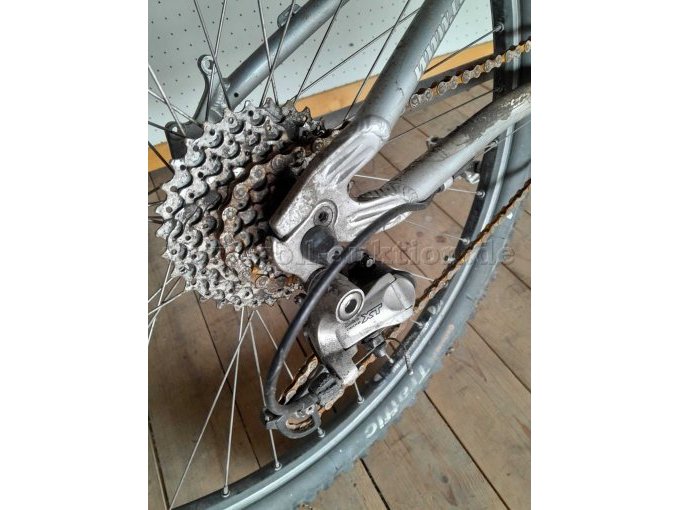 Ritzel und Schaltung hinten