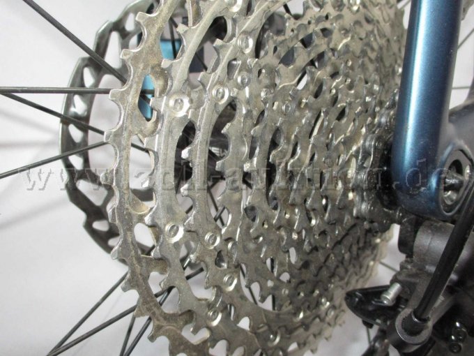 Ansicht Zahnkränze am Hinterrad