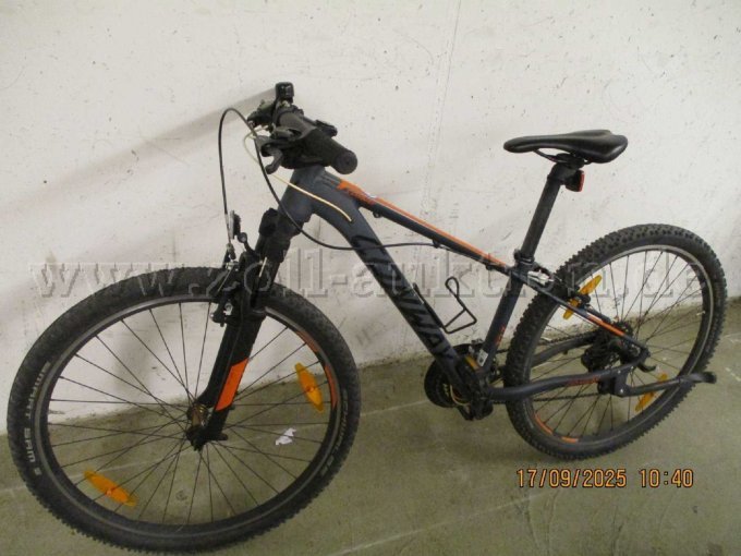 Fahrrad Seite Fahrrad Seite