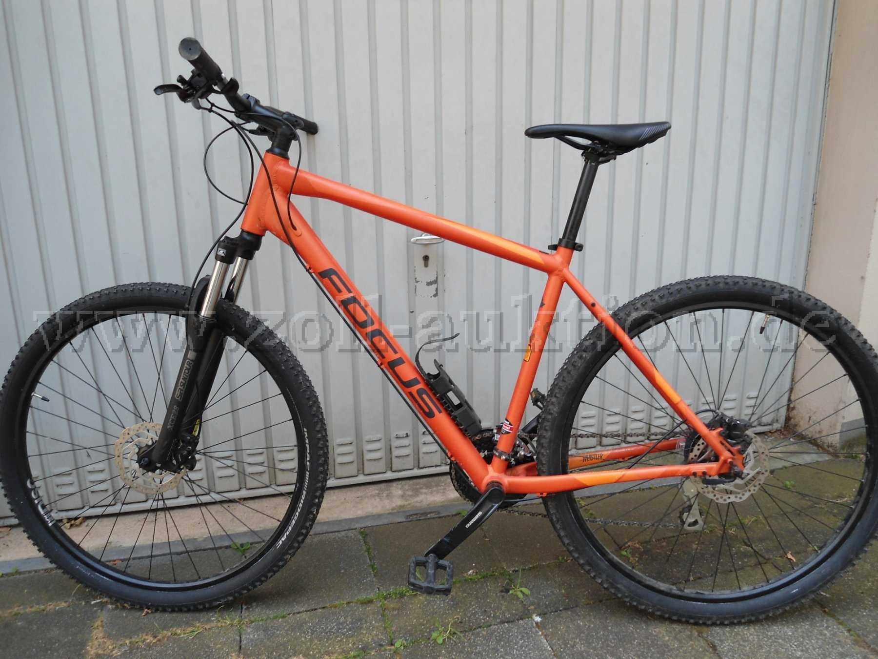 FOCUS Mountainbike