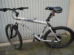 GIANT Mountainbike
