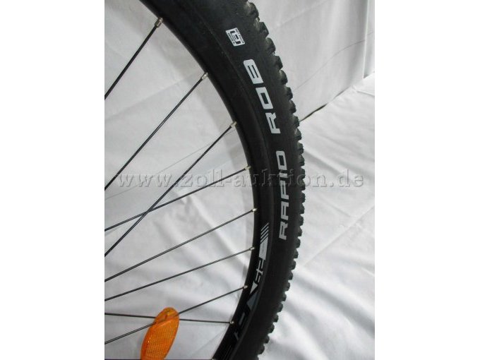 Teilansicht Hinterrad