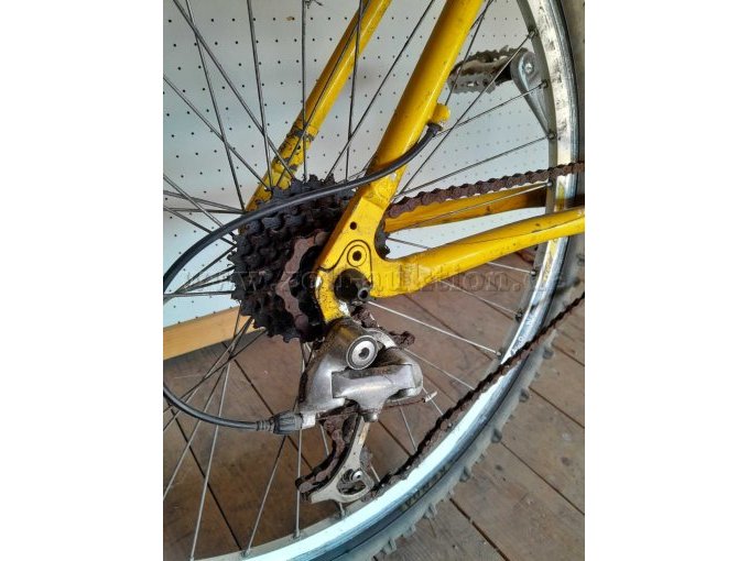 Ritzel und Schaltung hinten