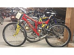 Fundnummer 254
Seitenansicht