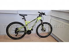 Mountainbike Bulls