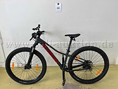 Mountainbike von Trek, links