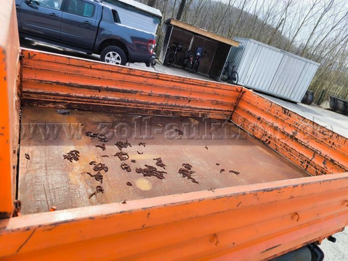 Multicar M 31 C Bad Driburg Ladefläche mit Stirnwänden