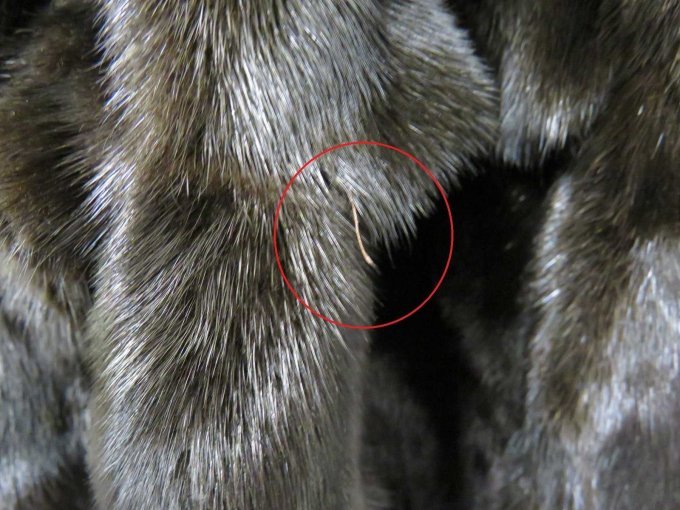 Beispiel sichtbarer kurzer Faden