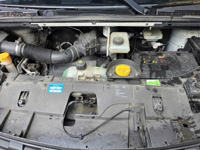 Marderfraß Motorraum
