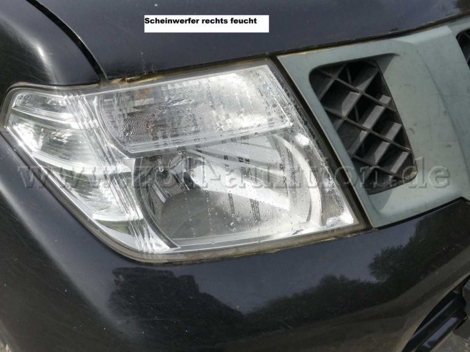 1 Nissan Navara 2.5 dCi DPF Double Cab XE 4x4 – foto 12 – kavel bij Zoll-Auktion, Troisdorf
