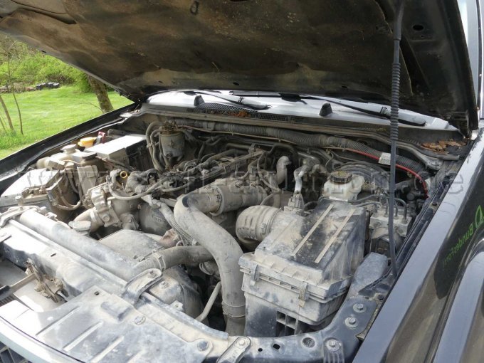 1 Nissan Navara 2.5 dCi DPF Double Cab XE 4x4 – foto 8 – kavel bij Zoll-Auktion, Troisdorf