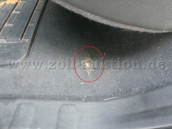 Beschädigung Innenraum