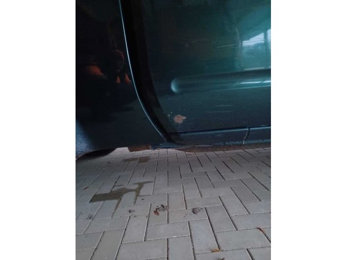 Roststelle an rechter Hintertür