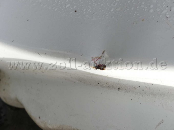 Lackschäden mit Rost