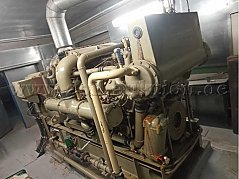 Notstromaggregat
Motor rechte Seite