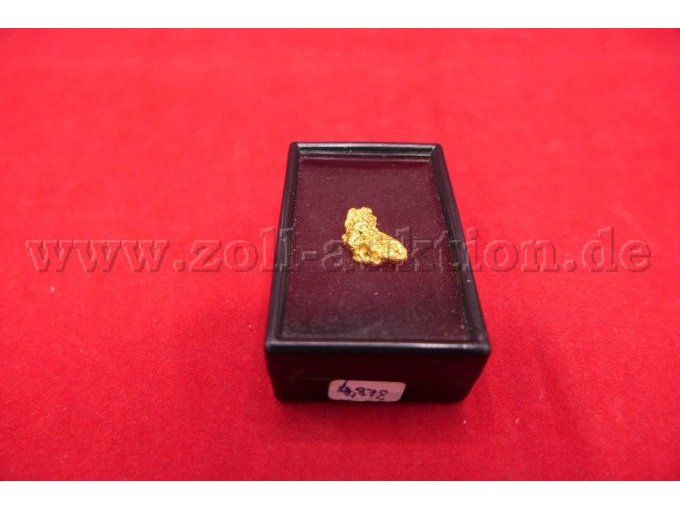 Gesamtansicht der Auktion