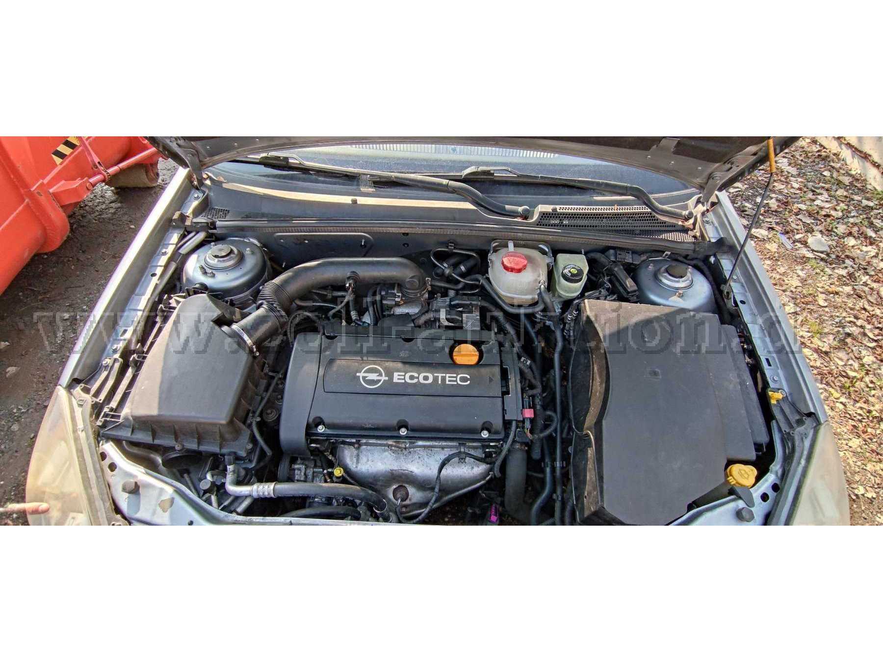 Motor