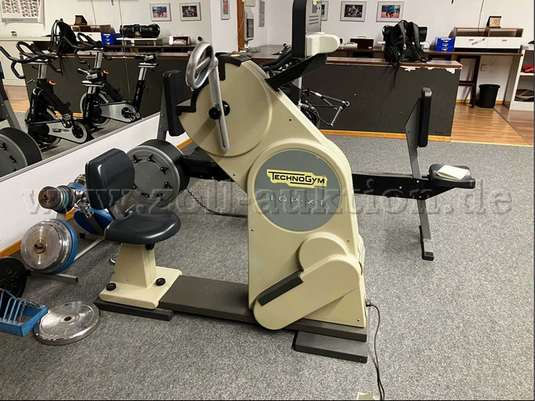 seitliche Gesamtansicht