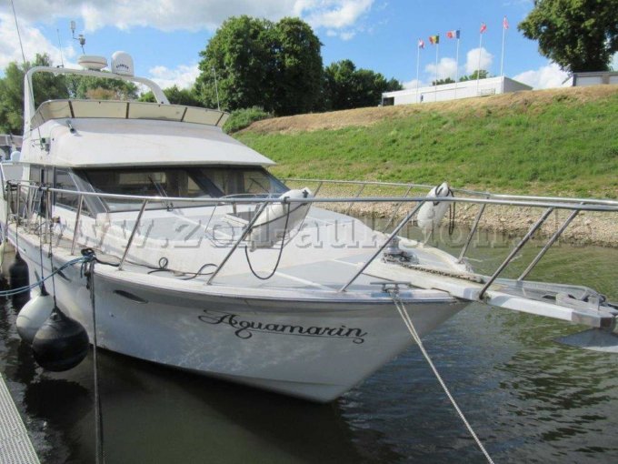 Boot von vorne