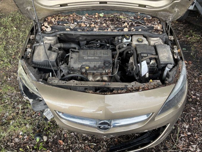 geöffneter Motorraum