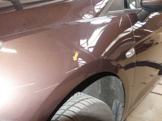 Delle Kotflügel vorn links